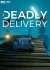 Deadly Delivery (2018) PC | 